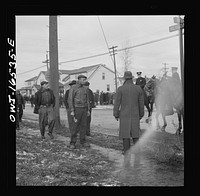 Detroit, Michigan. Rioting at the Sojourner Truth housing project. Sourced from the Library of Congress.