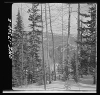 The Sangre de Cristo Mountains above Penasco, New Mexico. Sourced from the Library of Congress.