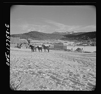 Trampas, Taos County, New Mexico. A Spanish-American village in the foothills of the Sangre de Cristo Mountains dating back to 1700 which was once a sheep raising center. Due to overgrazing and loss of range title, its inhabitants now work as migratory labor and subsistence farming. Sourced from the Library of Congress.