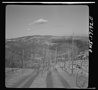 Winter in the Sangre de Cristo Mountains above Penasco, New Mexico. Sourced from the Library of Congress.