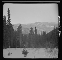 Winter in the Sangre de Cristo Mountains above Penasco, New Mexico. Sourced from the Library of Congress.