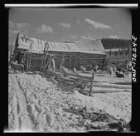 [Untitled photo, possibly related to: Penasco, New Mexico. A sheep ranch]. Sourced from the Library of Congress.