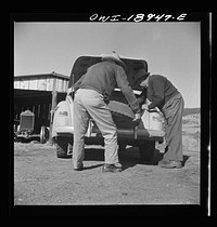 Moreno Valley, Colfax County, New Mexico. George Turner changes a tire. Sourced from the Library of Congress.