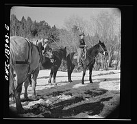 [Untitled photo, possibly related to: Moreno Valley, Colfax County, New Mexico. Opening a gate on William Heck's ranch]. Sourced from the Library of Congress.