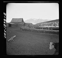 [Untitled photo, possibly related to: Moreno Valley, Colfax County, New Mexico. Home corrals on the Mutz ranch]. Sourced from the Library of Congress.