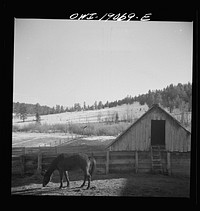 [Untitled photo, possibly related to: Moreno Valley, Colfax County, New Mexico. A horse corral]. Sourced from the Library of Congress.