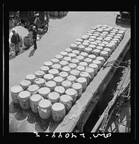 New York, New York. Barrels of fish on the docks at Fulton fish market ready to be shipped to retailers. Sourced from the Library of Congress.