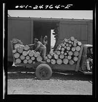[Untitled photo, possibly related to: San Augustine, Texas. Loading pulp wood into a freight car]. Sourced from the Library of Congress.