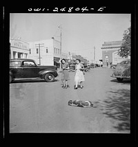 San Augustine, Texas. Dog sleeping on the main street. Sourced from the Library of Congress.