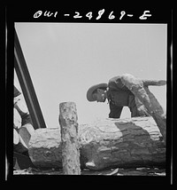 [Untitled photo, possibly related to: Nacogdoches County, Texas. Loading pulpwood from a truck to a flat car]. Sourced from the Library of Congress.