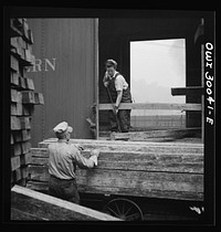 Pitcairn, Pennsylvania. Mrs. Lois Micheltree, thirty-six, employed as a laborer at the Pennsylvania Railroad lumber yard, earning fifty-five cents per hour. She helps to load and unload lumber from cars. Mrs. Micheltree has a son in the United States Navy. Sourced from the Library of Congress.