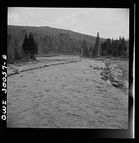 [Untitled photo, possibly related to: Spring pulpwood drive on the Brown Company timber holdings in Maine. Pulp logs floating downstream]. Sourced from the Library of Congress.