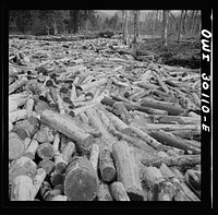 Spring pulpwood drive on the Brown Company timber holdings in Maine. Logs riding high on the extra large "head" of water released to break the jam. Sourced from the Library of Congress.