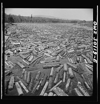 [Untitled photo, possibly related to: Spring pulpwood drive on the Brown Company timber holdings in Maine. Pikemen keep the logs moving down toward the sluiceway of the power dam]. Sourced from the Library of Congress.