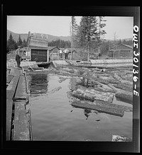 [Untitled photo, possibly related to: Spring pulpwood drive on the Brown Company timber holdings in Maine. Feeding logs through the sluice at Long Pond. In the background are the camp buildings]. Sourced from the Library of Congress.