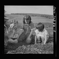 Fort Kent, Aroostook County, Maine. Spring potato planting on the French Acadian farm of Leonard Gagnon. Marianne and Dolores Gagnon setting fire to a pile of empty fertilizer sacks. Sourced from the Library of Congress.