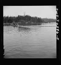 Spring pulpwood drive on the Brown Company timber holdings in Maine. The lake steamer's motor boat tows the safety boom to a cove on the shore so it will not be in the way when the steamer picks up the full boom. Later it will be put around the full boom as extra protection for the haul down the lake. Sourced from the Library of Congress.