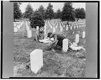 Arlington Cemetery, Arlington, Virginia. Decorating a soldier's grave in one of the  sections on Memorial Day. Sourced from the Library of Congress.