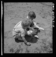 [Untitled photo, possibly related to: Point Pleasant, West Virginia. A child with a small puppy and a kitten]. Sourced from the Library of Congress.