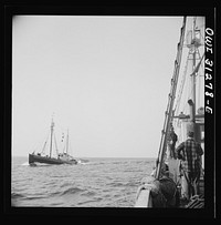 On board the fishing boat Alden out of Gloucester, Massachusetts. Fishermen on a boat heading for Gloucester giving the location of large schools of mackerel to the Alden's crew as the boats pass. Sourced from the Library of Congress.