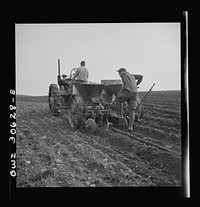 Spring potato planting on the French Acadian farm of Leonard Gagnon. Fort Kent, Aroostook County, Maine. Sourced from the Library of Congress.