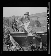 Spring potato planting on the French Acadian farm of Leonard Gagnon. Fort Kent, Aroostook County, Maine. Sourced from the Library of Congress.
