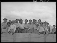 Corpus Christi, Texas. Mexican and  farm labor. Sourced from the Library of Congress.