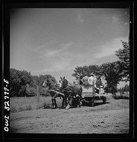 [Untitled photo, possibly related to: Oswego, New York. Hay ride for the United Nations heroes and Oswego girls during United Nations week]. Sourced from the Library of Congress.