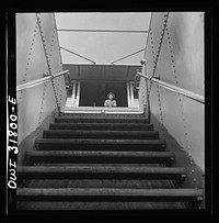 Looking up the hatchway to the pilot house of the towboat Charles T. Campbell. Sourced from the Library of Congress.