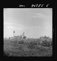 [Untitled photo, possibly related to: New Iberia, Louisiana. Sugar refinery]. Sourced from the Library of Congress.