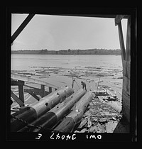 Turkey Pond, near Concord, New Hampshire. Women workers employed by a U.S. Department of Agriculture timber salvage sawmill. Logs are chained together and hauled up the slip by power-driven cable. Sourced from the Library of Congress.