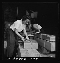New Britain, Connecticut. Mrs. Dorothy Bell and Miss Ida Hicks, employed at the American Railway Express Company, earns thirty-three dollars and twnety-six cents per week, sorting, weighting, and stamping packages. Sourced from the Library of Congress.