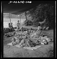 Middle River, a small crossroads in the vicinity of Baltimore, Maryland. FSA (Farm Security Administration) housing project (later administrated by the National Housing Agency) for Glenn L. Martin aircraft workers. Children at rest in the playground. Sourced from the Library of Congress.