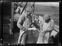 On board a fishing vessel out from Gloucester, Massachusetts. Fishermen on the deck washing up with a hose. Sourced from the Library of Congress.