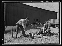 Rockville (vicinity), Maryland. Private Harvey Horton, visiting the N.C. Stiles dairy farm while on furlough from Fort Belvoir, Virginia, getting a little exercise before lunch. Sourced from the Library of Congress.