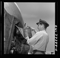 Columbus, Ohio. Randy Pribble, a bus driver for the Pennsylvania Greyhound Lines, Incorporated, putting water into a bus before taking it out on a run. Sourced from the Library of Congress.