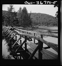 Arden, New York. Interracial activities at Camp Gaylord White and Ellen Marvin, where children are aided by the Methodist Camp Service. The view from the bridge. Sourced from the Library of Congress.
