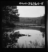 Arden, New York. Interracial activities at Camp Gaylord White, where children are aided by the Methodist Camp Service. A bridge and background scenery. Sourced from the Library of Congress.