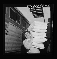 Chicago, Illinois. A pillow girl waiting to board a bus at the Greyhound bus terminal. Sourced from the Library of Congress.