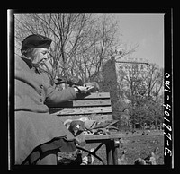 Washington, D.C. Feeding the pigeons in Lafayette Park. This woman has been bringing grain to the pigeons almost daily for thirteen years. Sourced from the Library of Congress.