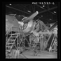 [Untitled photo, possibly related to: Seattle, Washington. Boeing aircraft plant. Production of B-17F (Flying Fortress) bombing planes. A nearly completed B-17F (Flying Fortress) bomber at the end of the production line]. Sourced from the Library of Congress.