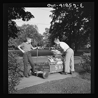 [Untitled photo, possibly related to: Southington, Connecticut. Boys collecting paper for war conversion]. Sourced from the Library of Congress.