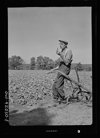 [Untitled photo, possibly related to: Southington, Connecticut. Gus Worke, a farmer who came from Germany forty years ago]. Sourced from the Library of Congress.