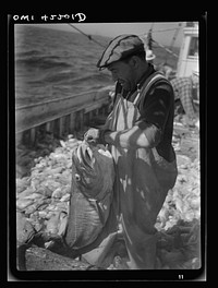 Gloucester, Massachusetts. A whale codfish, the fish that was probably reponsible for the early explorations in this part of the country and made New England famous. Sourced from the Library of Congress.