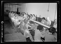 On board a fishing vessel out from Gloucester, Massachusetts. Women in a packing plant candling fish and cutting out a parasite known as Syphirin lumpii. Sourced from the Library of Congress.