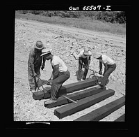 [Untitled photo, possibly related to:  laborers carrying and laying railroad ties for a spur line into a coal storage space for the federal government]. Sourced from the Library of Congress.