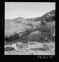 Kingman (vicinity), Arizona. A general view of the desert mountain type of country in which tungsten ore is mined by the Boriana mining company. Cacti and sage brush, shown here, represent the only vegetation in the scene. Sourced from the Library of Congress.