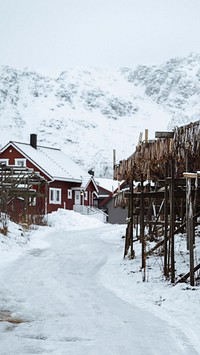 Winter phone wallpaper background, cod fish drying on a scaffold in Lofoten, Norway