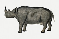 Black rhinoceros psd antique watercolor animal illustration, remixed from the artworks by Robert Jacob Gordon