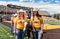 Cowboy Joe the pony mascot at a University of Wyoming Cowboys&#39; football home game in Laramie. Original image from <a href="https://www.rawpixel.com/search/carol%20m.%20highsmith?sort=curated&amp;page=1">Carol M. Highsmith</a>&rsquo;s America, Library of Congress collection. Digitally enhanced by rawpixel.